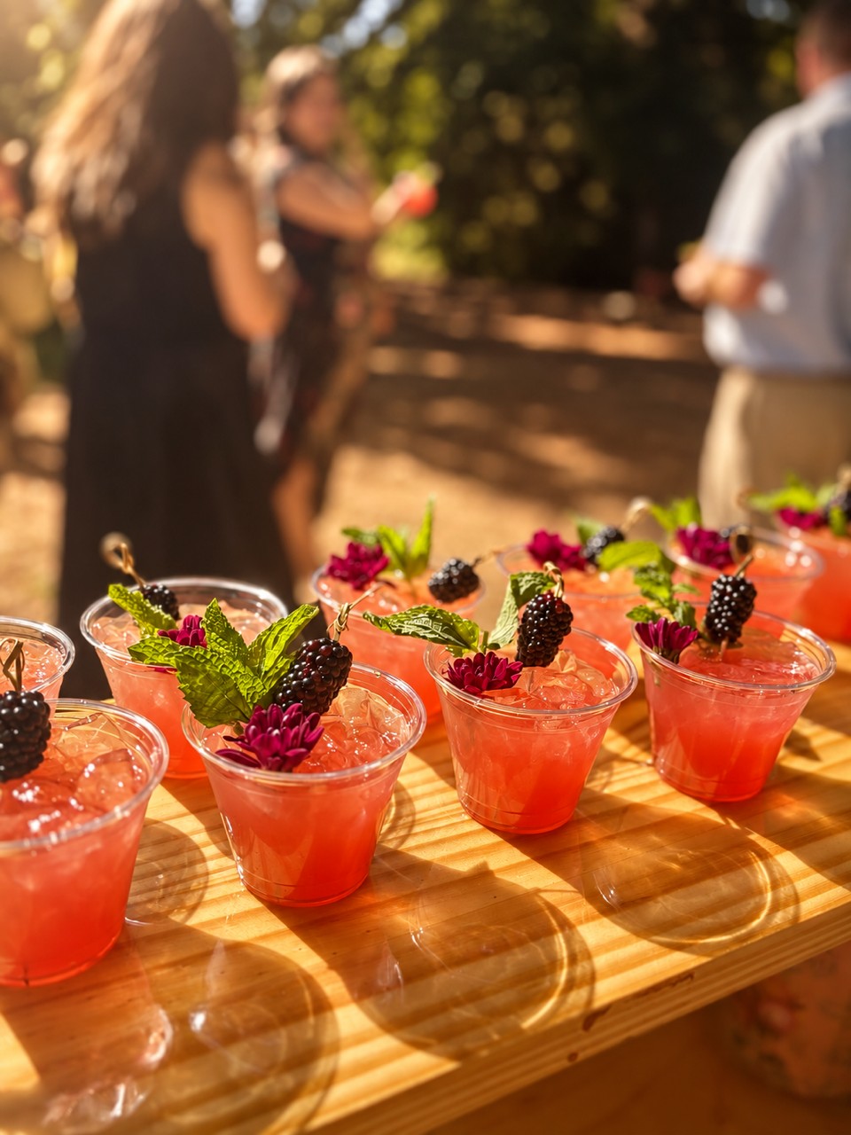 Pink cocktails with berries and mint on the bar