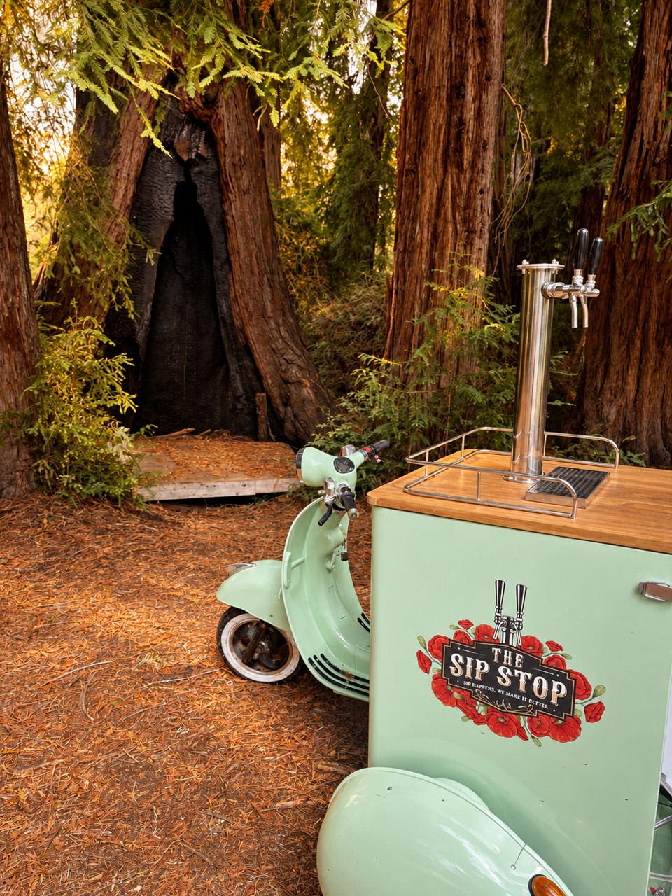 Mint green Vespa tap cart among redwood trees